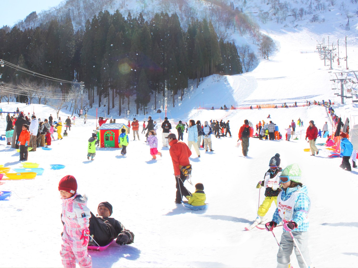 ⛷️ 하쿠산 이치리노 온천 스키장 이미지 5